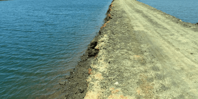 A coastal road next to a lake in Lafayette, Louisiana, that was dredged using dredging equipment rented from U.S. Aqua