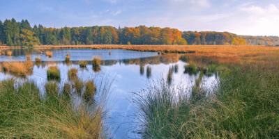 A Picturesque view of a pond in a large field, serviced by U.S Aqua