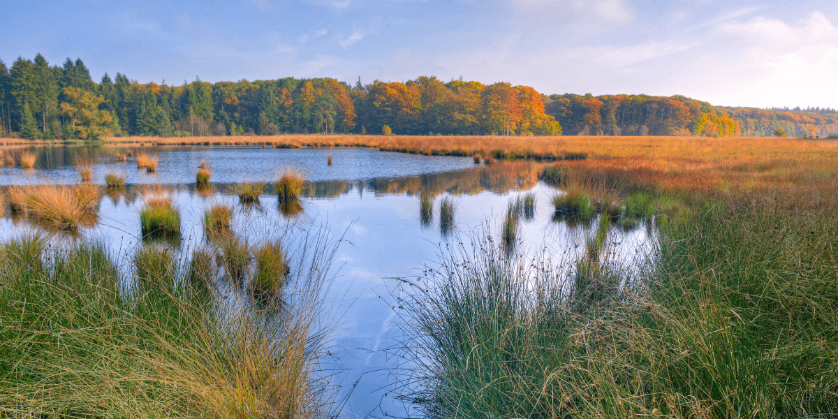 A Picturesque view of a pond in a large field, serviced by U.S Aqua