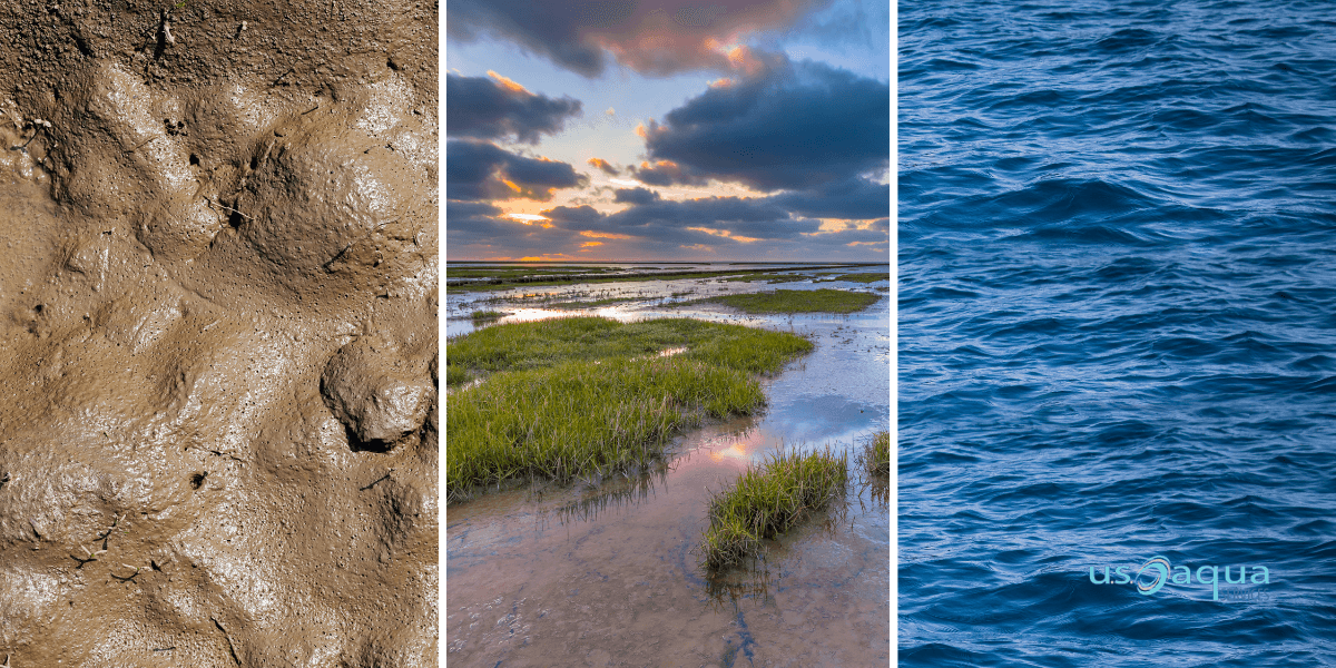 in image collage with a picture of a muddy ground, a marsh, and some water