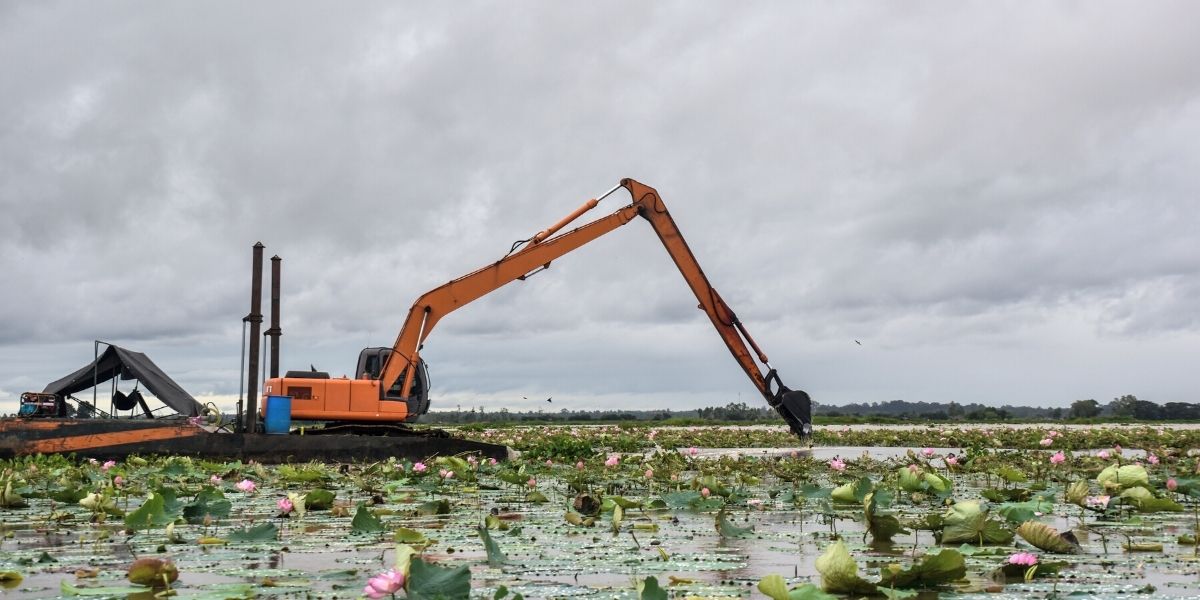 The Impact Dredging Has on Our Ecosystem